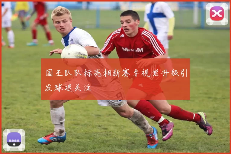 国王队队标亮相新赛季视觉升级引发球迷关注