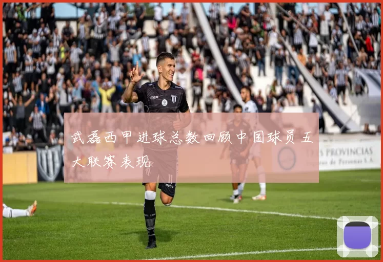 武磊西甲进球总数回顾中国球员五大联赛表现