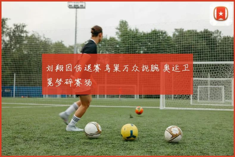 刘翔因伤退赛鸟巢万众扼腕 奥运卫冕梦碎赛场