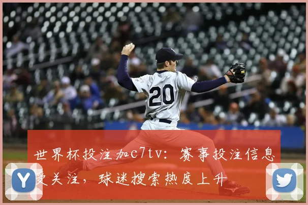 世界杯投注加c7tv：赛事投注信息受关注，球迷搜索热度上升