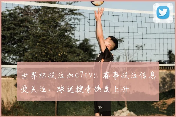 世界杯投注加c7tv：赛事投注信息受关注，球迷搜索热度上升