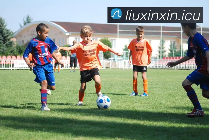 大阳城app注册登录 - 大阳城app登录入口服务体系